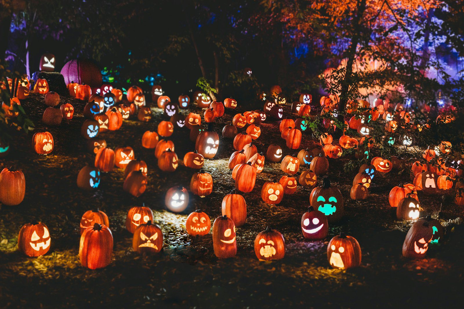 Animations Halloween à Paris et en Île-de-France par Sacha Events